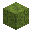 Mossy Dried Kelp Block inventory thumbnail