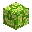 Waved Lime Glazed Terracotta inventory thumbnail