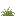 Sandy Shrub inventory thumbnail