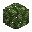 Calamites Leaves inventory thumbnail