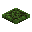 Calamites Trapdoor inventory thumbnail