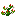 Wild Red Pepper inventory thumbnail