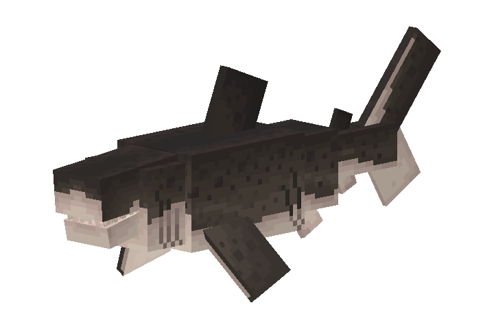 Megalodon