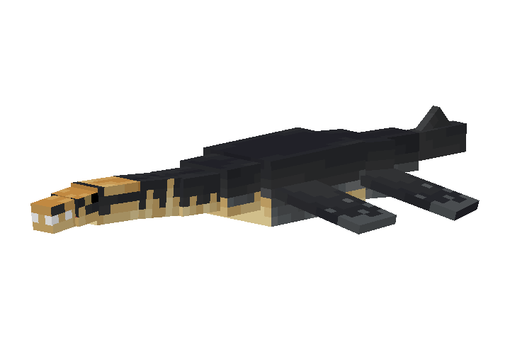 Plesiosaurus