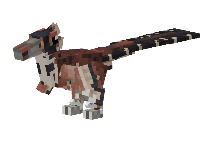 Velociraptor