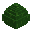 Forest Dragon Egg appearance